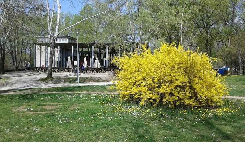 Parco del Cormor, Udine, Province of Udine, Italy, Italy